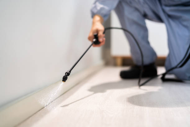 Licensed Rodent Control service in Cedar County County, IA - Nex Pest Control