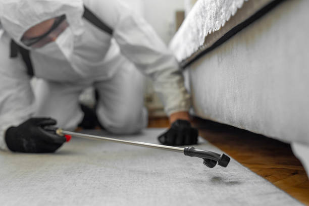 Professional Rodent Control technician working in Cedar County County, IA